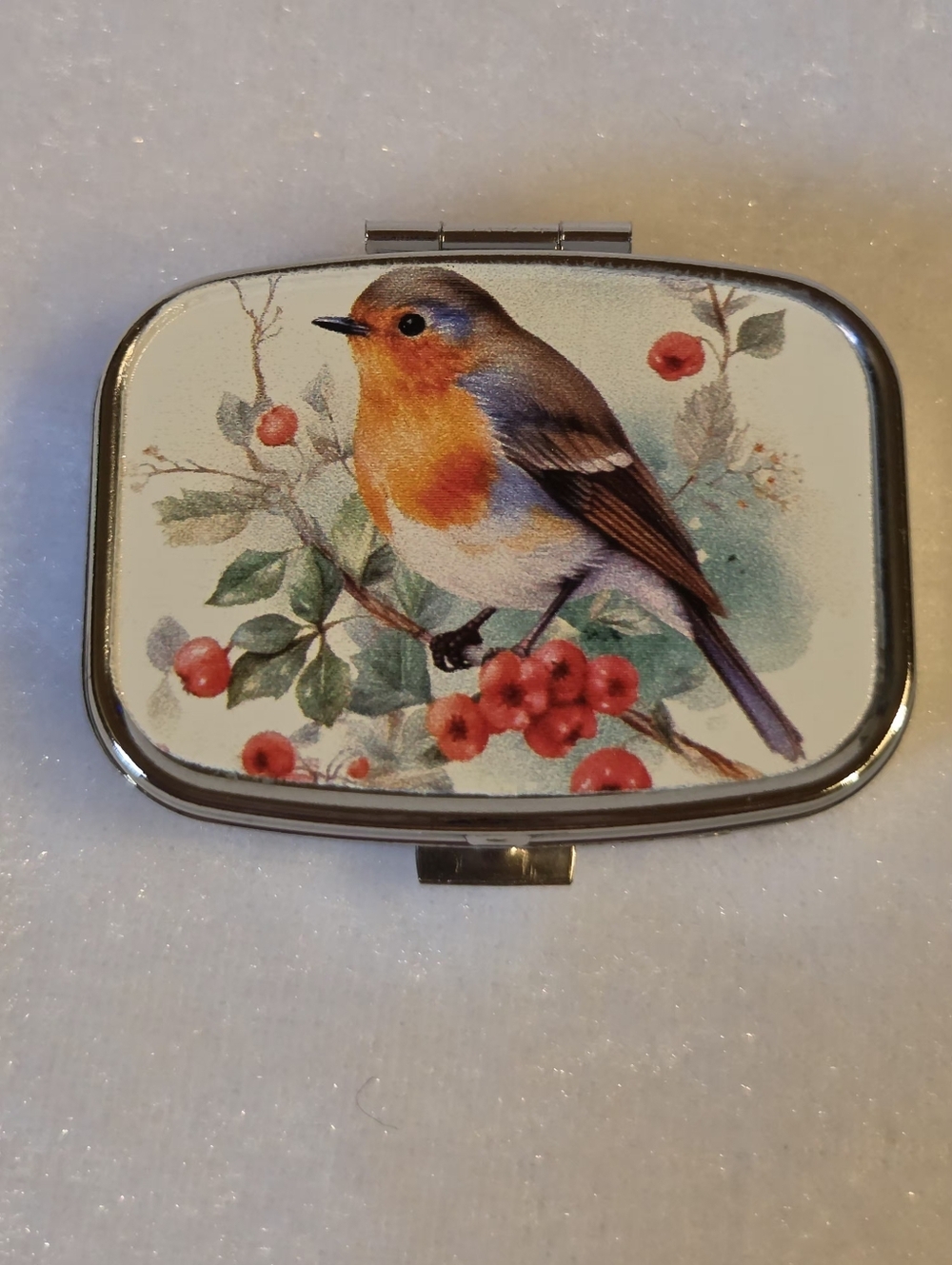 New Robin Portable Pill Box or Small Storage Container